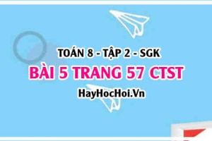 Bài 5 trang 57 Toán 8 Tập 2 Chân trời sáng tạo